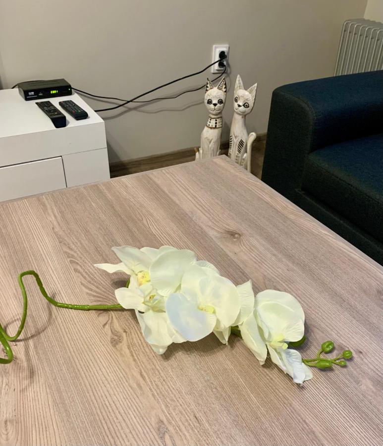 ,,Адела”-Апартамент За Гости Velingrad Eksteriør billede